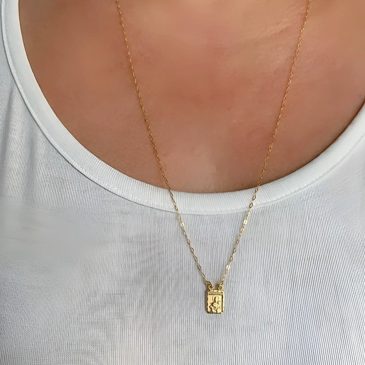 Escapulário em Ouro Amarelo 18K – Medalhas Retangulares Corrente Cadeado Simples
