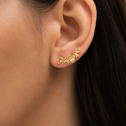 Brinco Alvorada em Ouro Amarelo 18k, com citrinos
